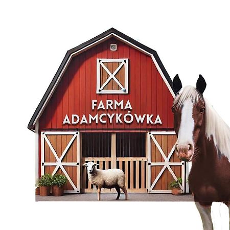 Apartamenty Adamcykowka Blisko Velo Czorsztyn! Kluszkowce Luaran gambar