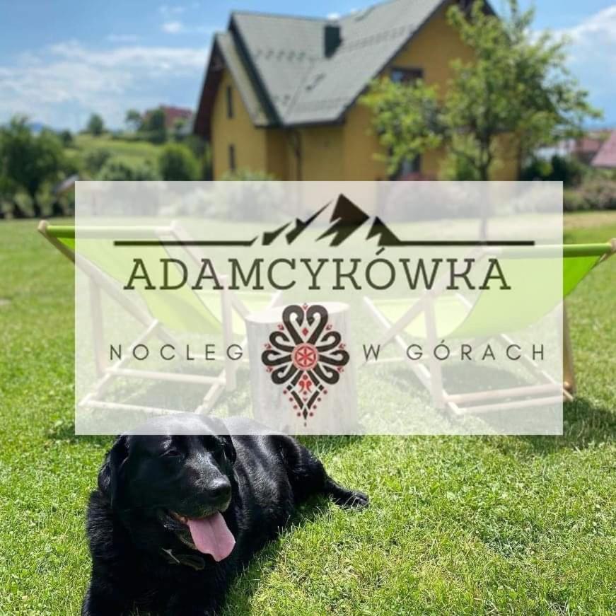 Apartamenty Adamcykowka Blisko Velo Czorsztyn! Kluszkowce Luaran gambar