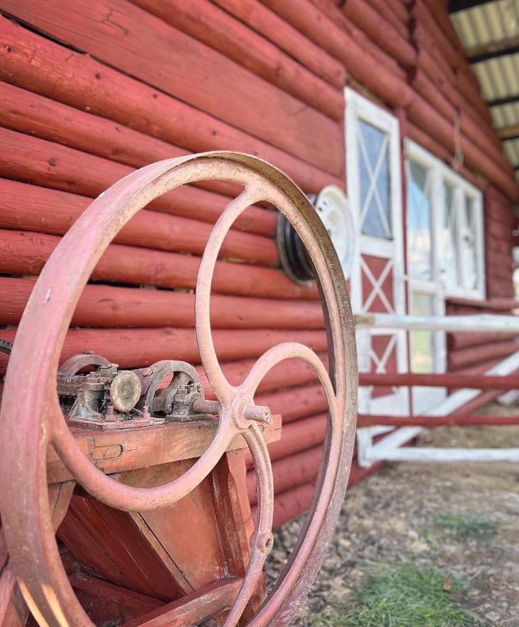 Apartamenty Adamcykowka Blisko Velo Czorsztyn! Kluszkowce Luaran gambar