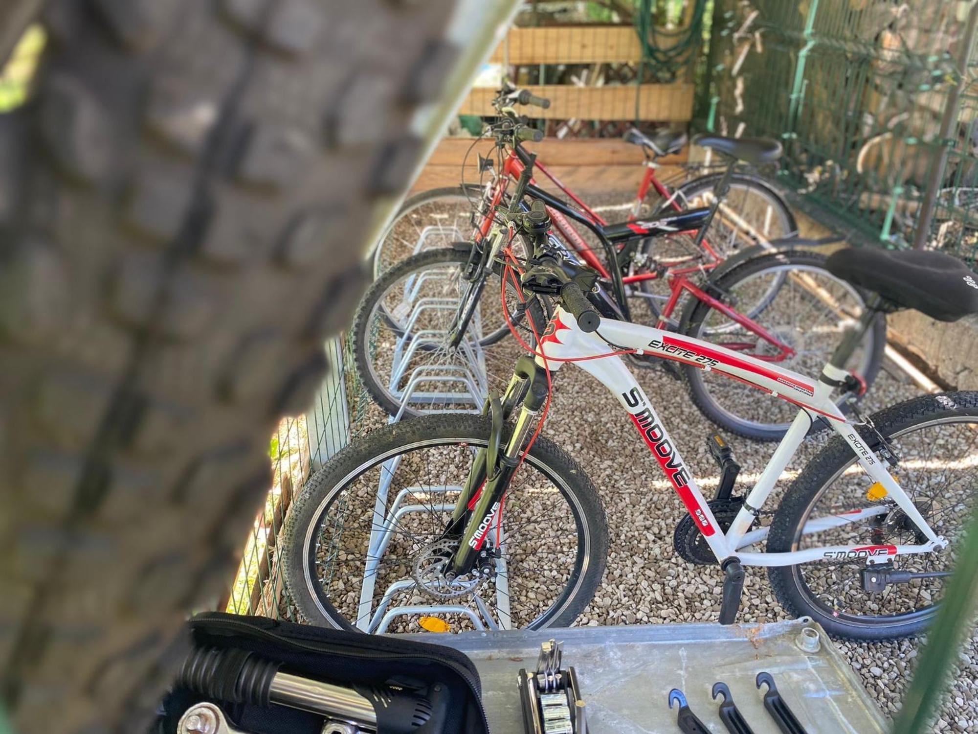 Apartamenty Adamcykowka Blisko Velo Czorsztyn! Kluszkowce Luaran gambar