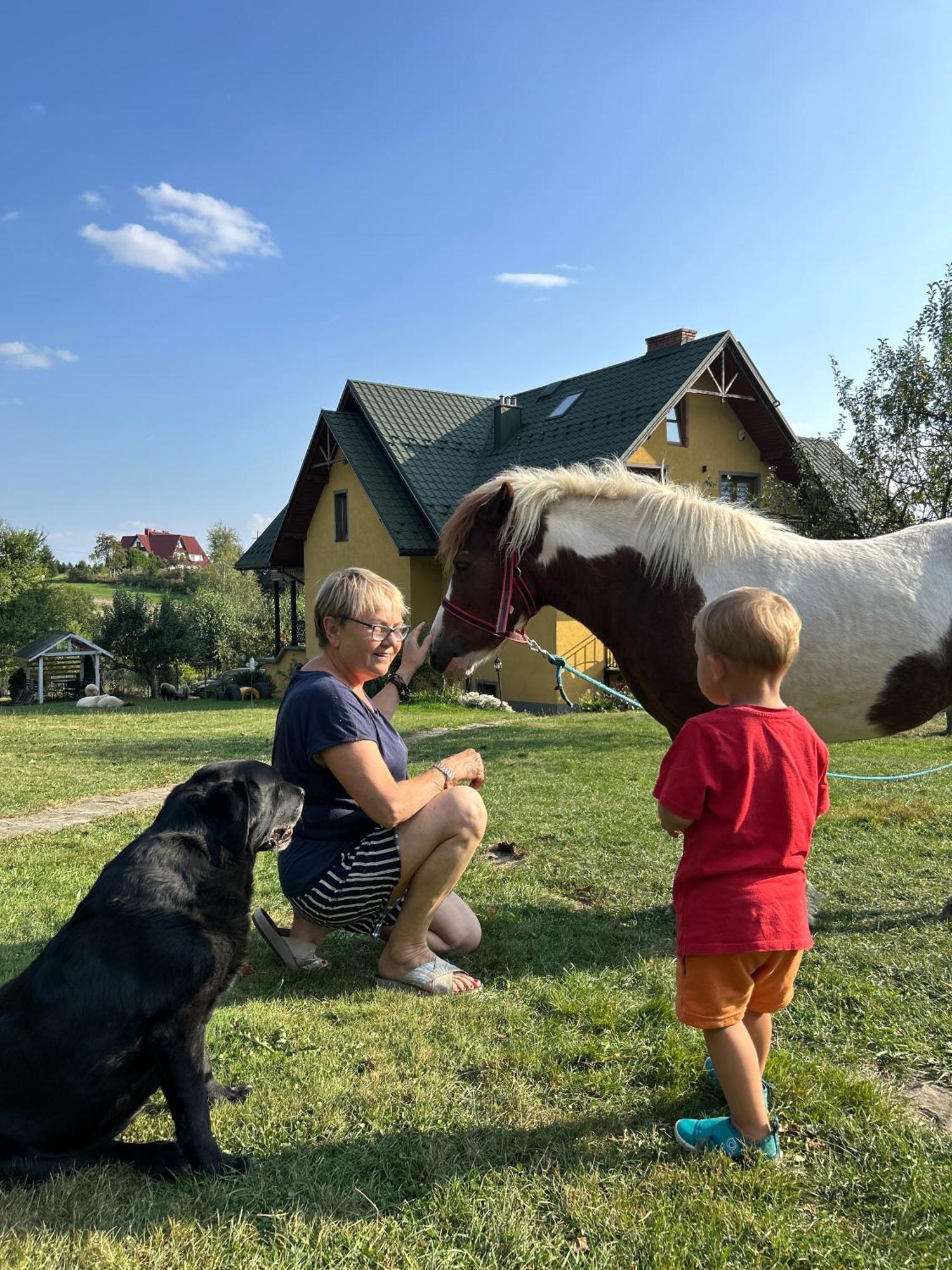 Apartamenty Adamcykowka Blisko Velo Czorsztyn! Kluszkowce Luaran gambar