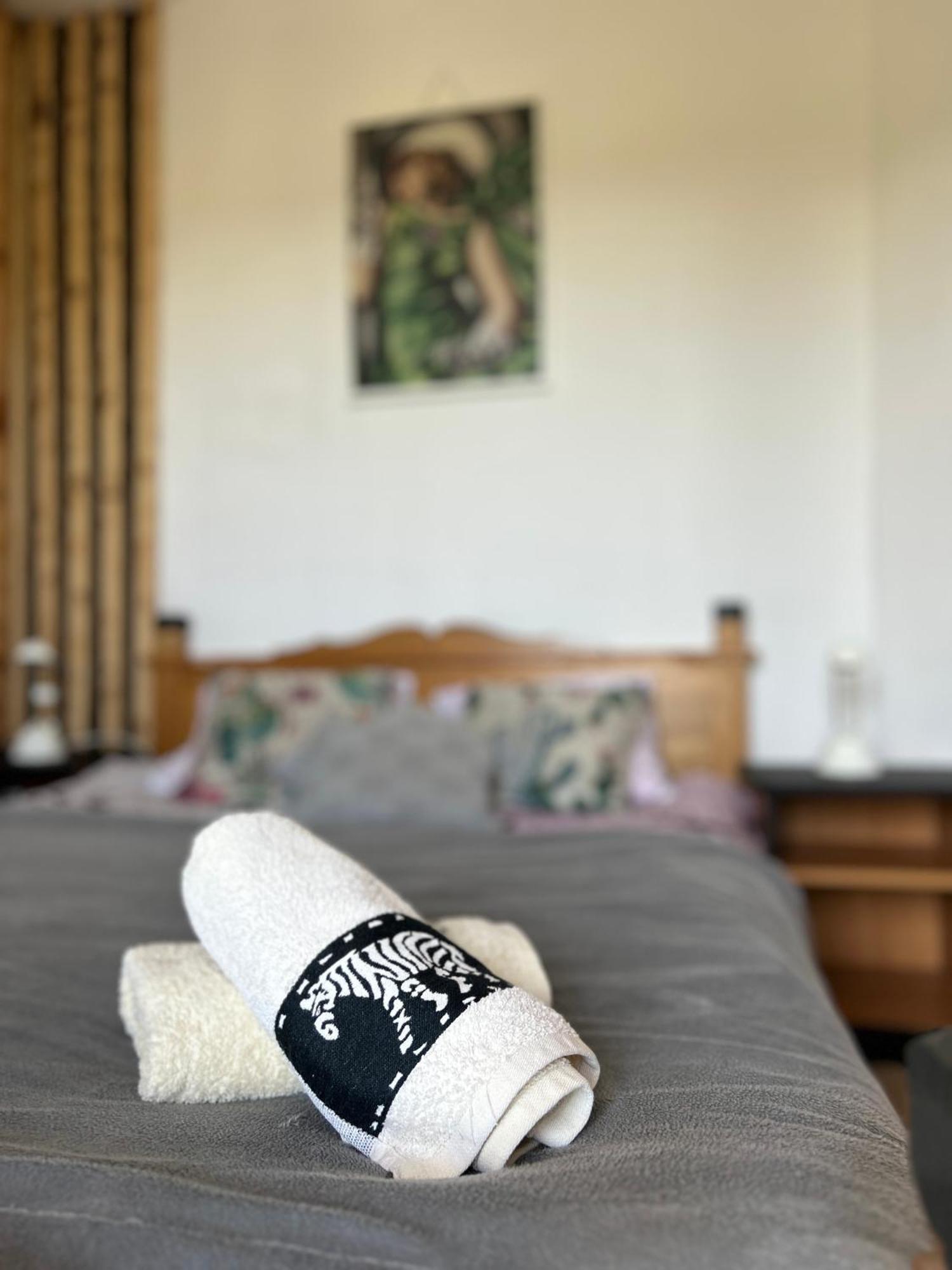 Apartamenty Adamcykowka Blisko Velo Czorsztyn! Kluszkowce Luaran gambar