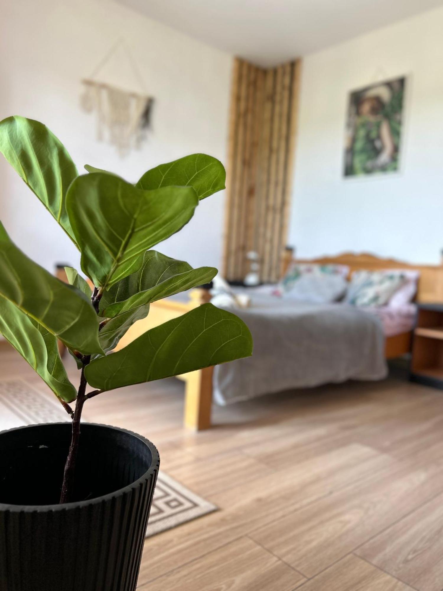 Apartamenty Adamcykowka Blisko Velo Czorsztyn! Kluszkowce Luaran gambar