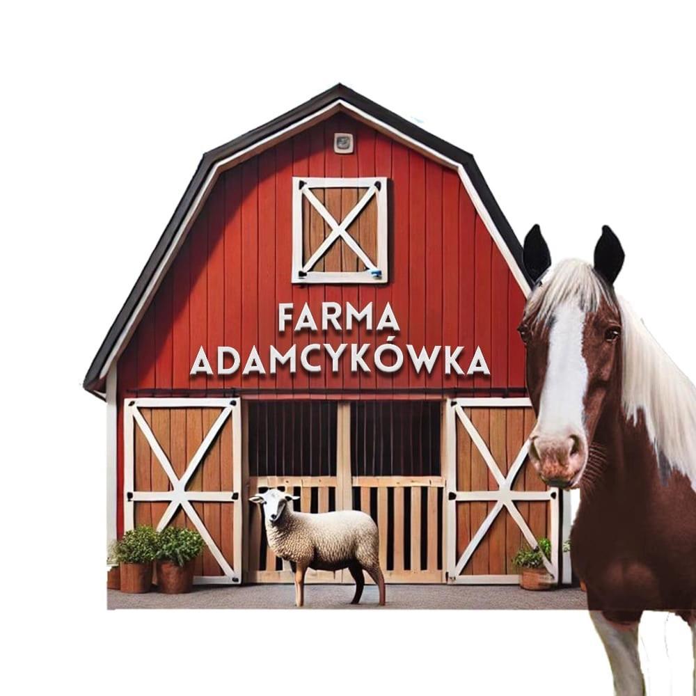 Apartamenty Adamcykowka Blisko Velo Czorsztyn! Kluszkowce Luaran gambar